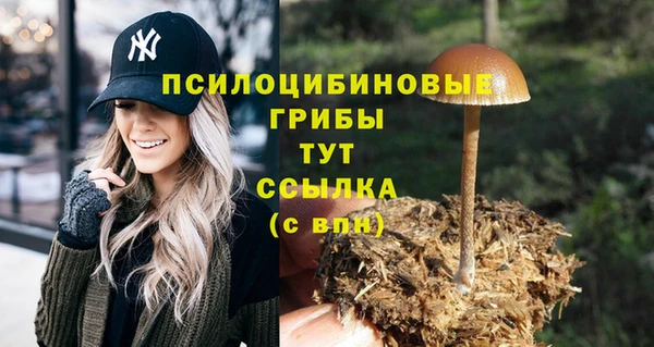 2c-b Лагань
