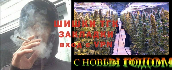 2c-b Ладушкин