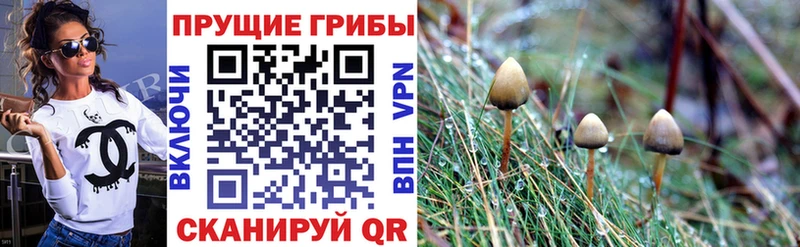 Псилоцибиновые грибы прущие грибы  Купить закладки  Белово 